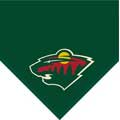 Minnesota Wild 60" x 50" Team Fleece Blanket / Throw