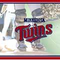 Minnesota Twins MLB Wall Border