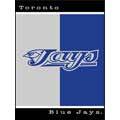 Toronto Blue Jays 60" x 80" All-Star Collection Blanket / Throw