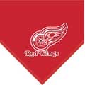 Detroit Red Wings 60" x 50" Team Fleece Blanket / Throw