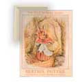 Potter: Bunny w/Basket - Contemporary mount print with beveled edge