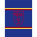 Real Salt Lake 60" x 80" All-Star Collection Blanket / Throw