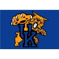 Kentucky Wildcats NCAA College 20" x 30" Acrylic Tufted Rug