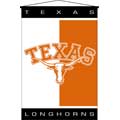 Texas Longhorns 29" x 45" Deluxe Wallhanging