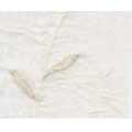 Chloe Fancy Sham - Antique Creme Vine