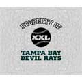 Tampa Bay Devil Rays 58" x 48" "Property Of" Blanket / Throw