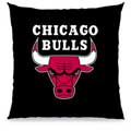 Chicago Bulls 12" Souvenir Pillow