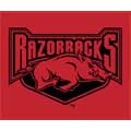 Arkansas Razorbacks 60" x 50" Classic Collection Blanket / Throw