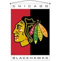 Chicago Blackhawks 29" x 45" Deluxe Wallhanging