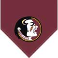 Florida Seminoles 60" x 50" Classic Collection Fleece Blanket / Throw