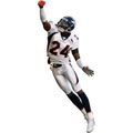 Champ Bailey Fathead NFL Wall Graphic