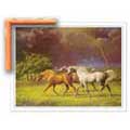 Arabians After a Storm - Framed Print