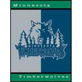 Minnesota Timberwolves 60" x 80" All-Star Collection Blanket / Throw