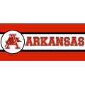 Arkansas Razorbacks Tall Wallpaper Border