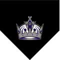 Los Angeles Kings 60" x 50" Team Fleece Blanket / Throw