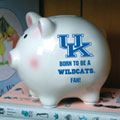 Kentucky Wildcats NCAA College Ceramic Piggy Bank