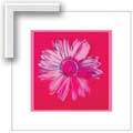 Warhol Daisy, Crimson and Pink - Contemporary mount print with beveled edge