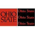 Ohio State Buckeyes 6" Tall Wallpaper Border