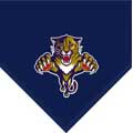 Florida Panthers 60" x 50" Team Fleece Blanket / Throw