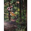 BMX Biker II - Framed Canvas