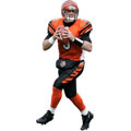 Carson Palmer Fathead NFL Wall Graphic