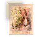 Potter: Bunnies in Garden - Contemporary mount print with beveled edge