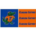 Florida Gators 6" Tall Wallpaper Border