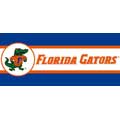 Florida Gators 7" Tall Wallpaper Border