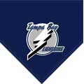 Tampa Bay Lightning 60" x 50" Team Fleece Blanket / Throw