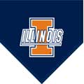 Illinois Illini 60" x 50" Classic Collection Fleece Blanket / Throw