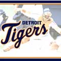 Detroit Tigers MLB Wall Border