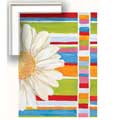 Cabana Daisy II (side flower) - Contemporary mount print with beveled edge