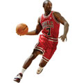 Ben Gordon Fathead NBA Wall Graphic