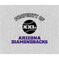 Arizona Diamondbacks 58" x 48" "Property Of" Blanket / Throw