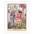 Columbine Fairy - Canvas