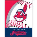 Cleveland Indians 60" x 80" Grand Slam Printed Raschel