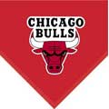 Chicago Bulls 60" x 50" Team Fleece Blanket / Throw