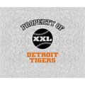 Detroit Tigers 58" x 48" "Property Of" Blanket / Throw