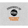 Detroit Tigers 58" x 48" "Property Of" Blanket / Throw