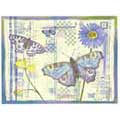 Butterflies In Bloom - Contemporary mount print with beveled edge