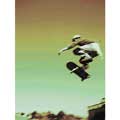 Skate Boarder III - Contemporary mount print with beveled edge