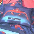 Spiderman Hero of the People Pillowsham