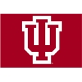 Indiana Hoosiers NCAA College 20" x 30" Acrylic Tufted Rug