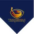 Atlanta Thrashers 60" x 50" Team Fleece Blanket / Throw
