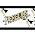 Pittsburg Penguins Wallpaper Border