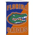 Florida Gators 29" x 45" Deluxe Wallhanging