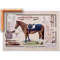 Equestrian Equipment - Framed Canvas