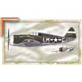 P-47 Thunderbolt - Contemporary mount print with beveled edge