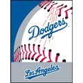 Los Angeles Dodgers 60" x 80" Grand Slam Printed Raschel