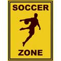 Soccer Zone - Contemporary mount print with beveled edge